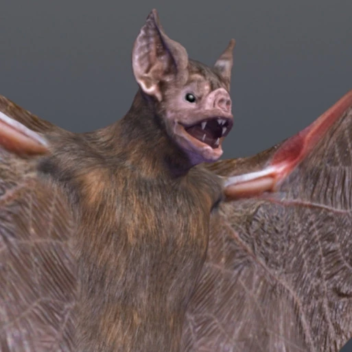 Demonflyingfox